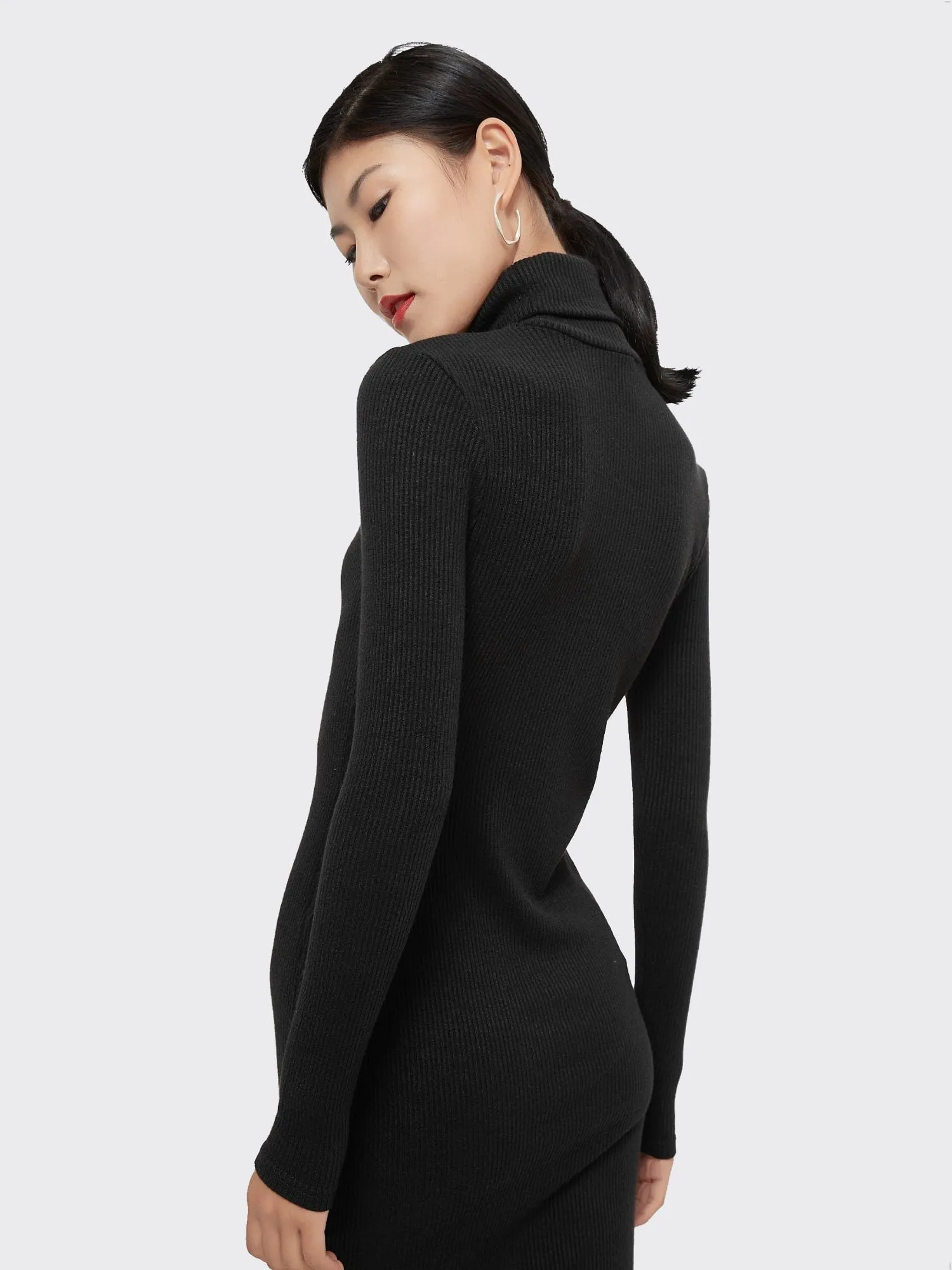 Zoe Knitted Turtleneck Dress