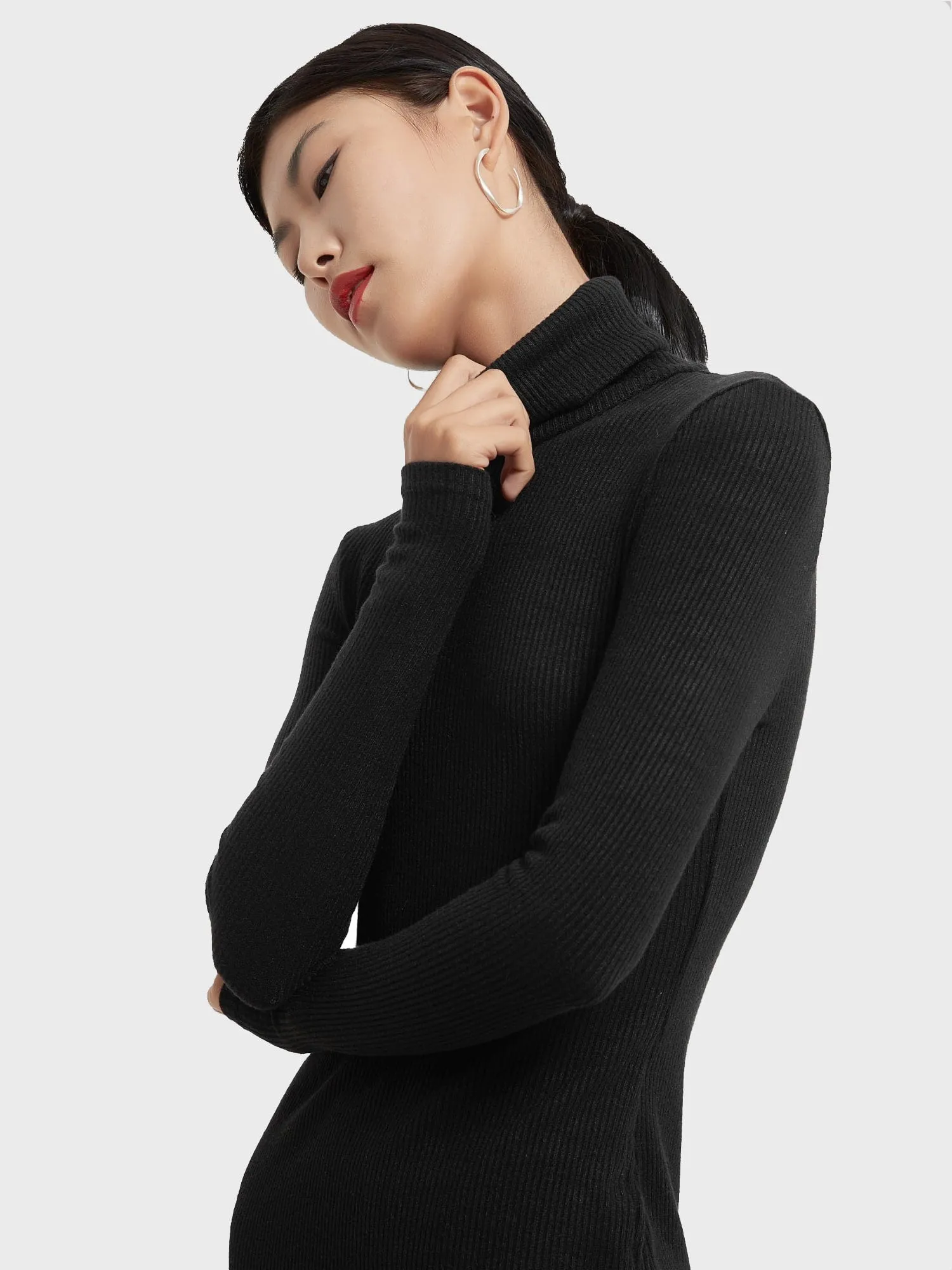 Zoe Knitted Turtleneck Dress